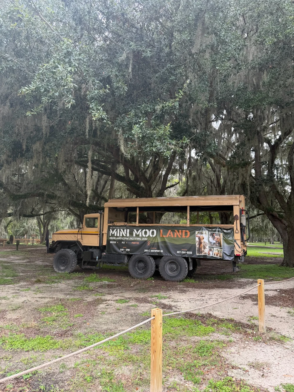 Mini Moo Land attraction truck under oak trees